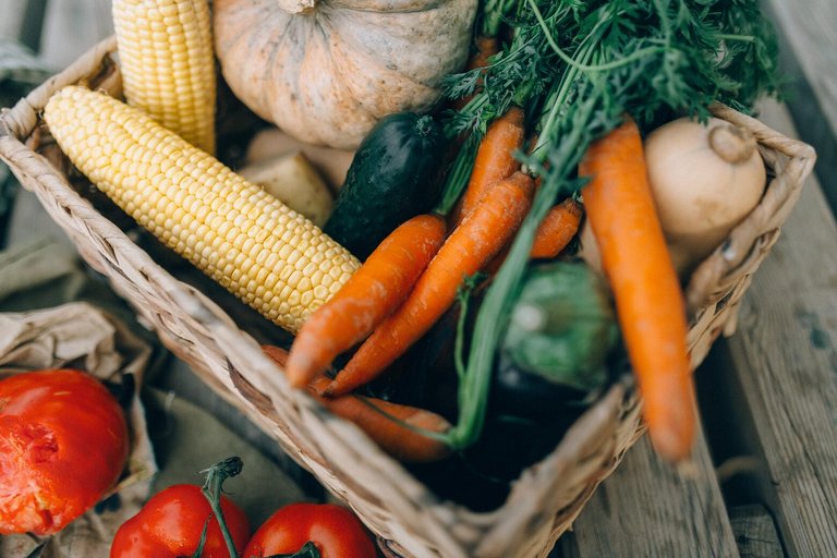 Korb mit frischem Gemüse wie Karotten, Mais und Kürbis