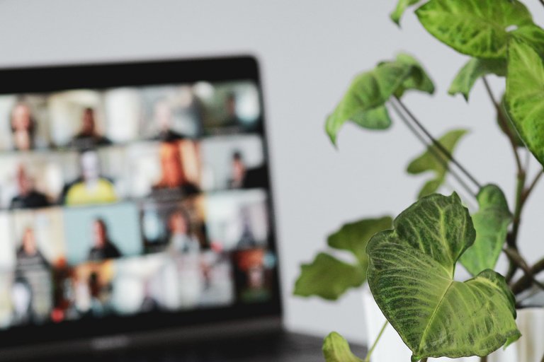 Laptop mit Videocall im Vordergrund, Pflanze im Hintergrund