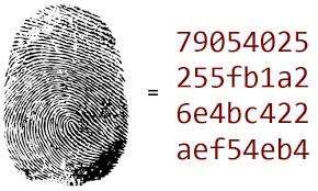 Fingerabdruck mit Zahlencode daneben
